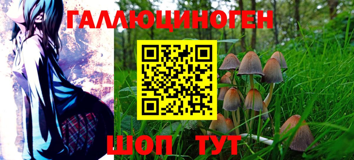 купить   Галлюциногенные грибы ЛСД  Вход с VPN  Псилоцибиновые грибы Psilocybe  Ржев 