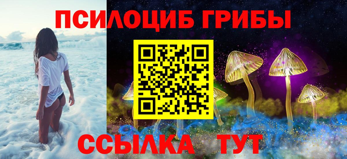 Галлюциногенные грибы Psilocybe Ржев